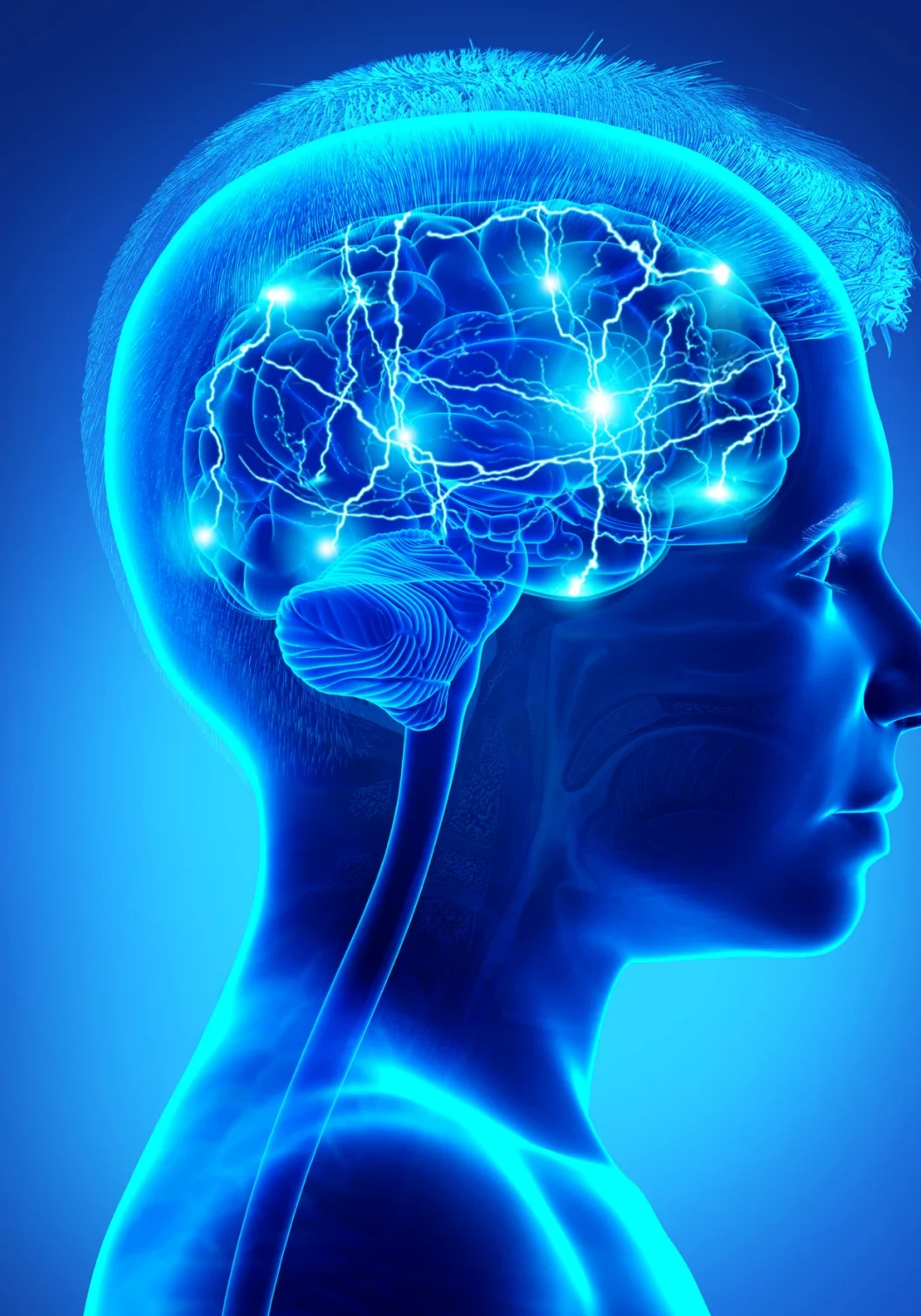 Profile of brain activity visualization